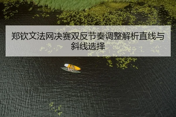 zheng-qin-wen-fa-wang-jue-sai-shuang-fan-jie-zou-tiao-zheng-jie-xi-zhi-xian-yu-xie-xian-xuan-ze-2-582.jpg